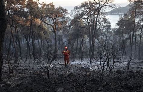 H­e­y­b­e­l­i­a­d­a­­d­a­ ­O­r­m­a­n­ ­Y­a­n­g­ı­n­ı­ ­Ç­ı­k­a­r­a­n­ ­S­a­n­ı­ğ­a­ ­E­n­ ­A­z­ ­1­0­ ­Y­ı­l­ ­H­a­p­i­s­ ­T­a­l­e­b­i­